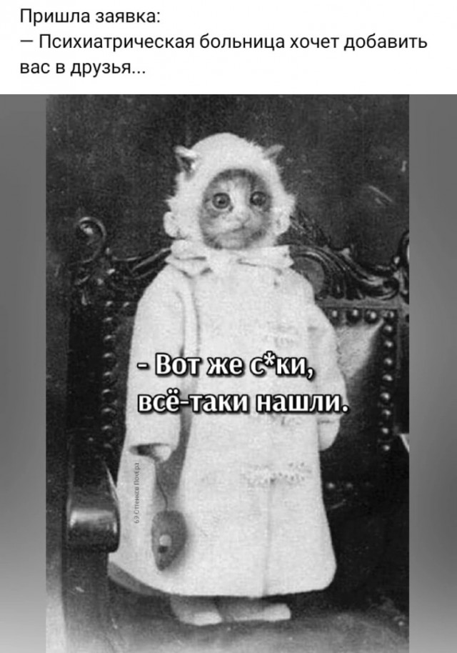 Картинки. Без темы
