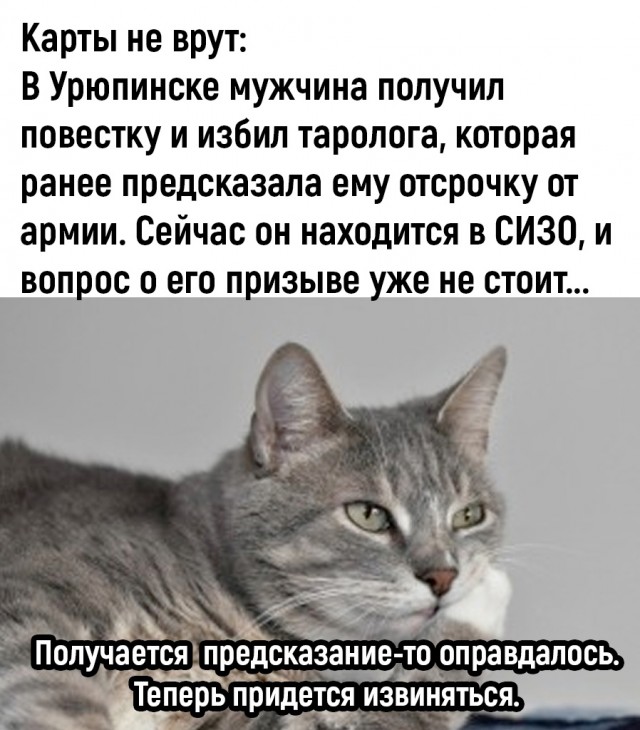 Так себе картинки 25.10.22