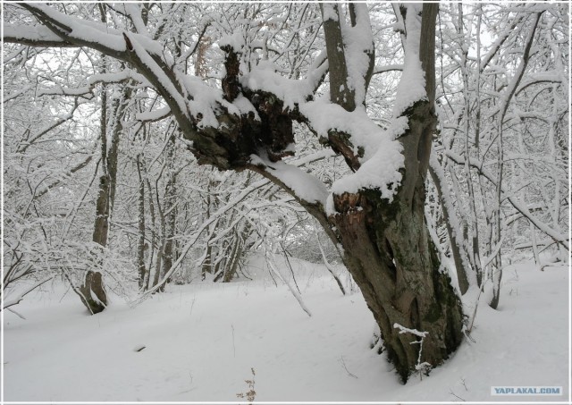 Крым. Терновка. Зимние дороги.