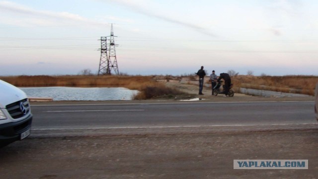 Крым в феврале или "Не стреляйте в белых лебедей!"
