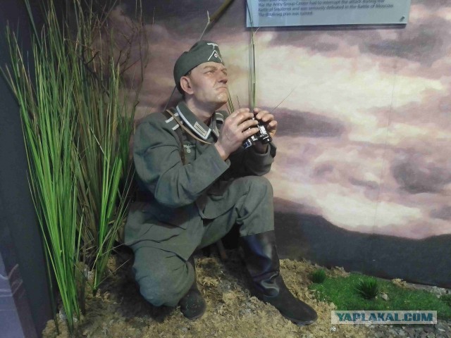 Беларусь. Июнь 2023