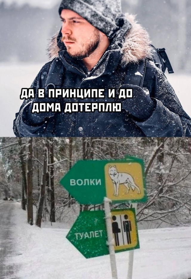 40 пятничных картинок 29.12.2023