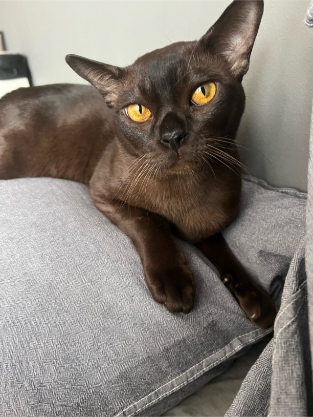 На святое покусилась⁠⁠