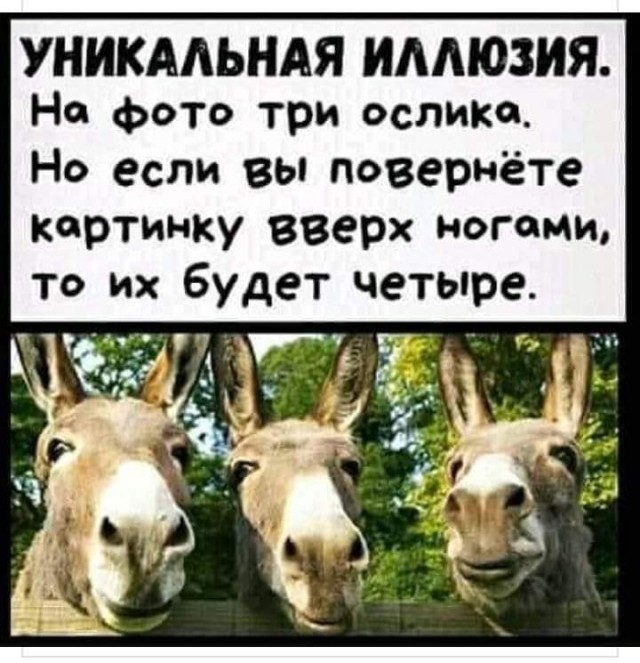 Готовьте уши