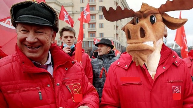 И снова лось, и снова Рашкин.