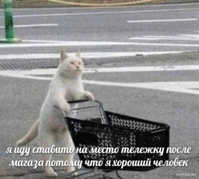 Завалялось тут случайно немного забавных картинок
