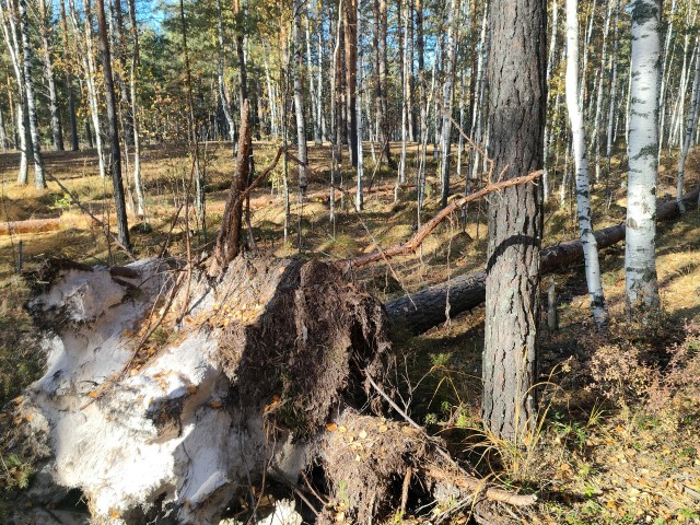 Осень на озёрах 2