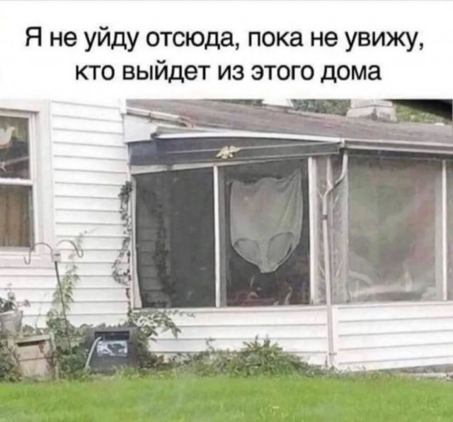 Завалялось тут случайно немного забавных картинок
