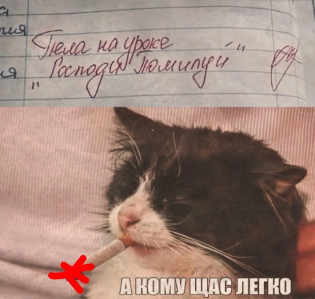 Так себе картинки 23.11.24