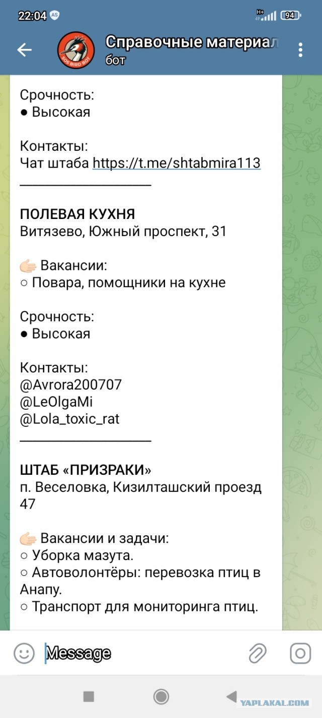 Волонтеров, спасающих птиц на Кубани, обяжут регистрироваться и иметь прививки. Рекомендации разработали в Минприроды