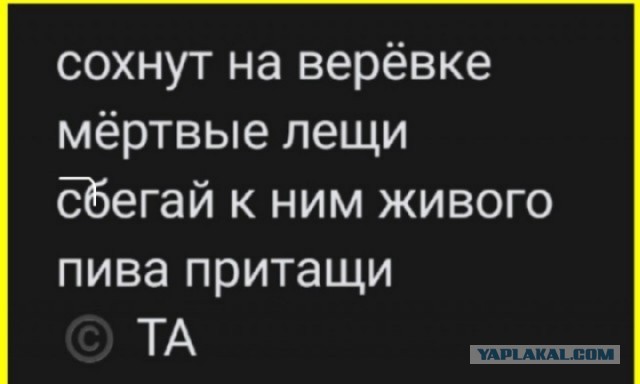 Сборник Баянов