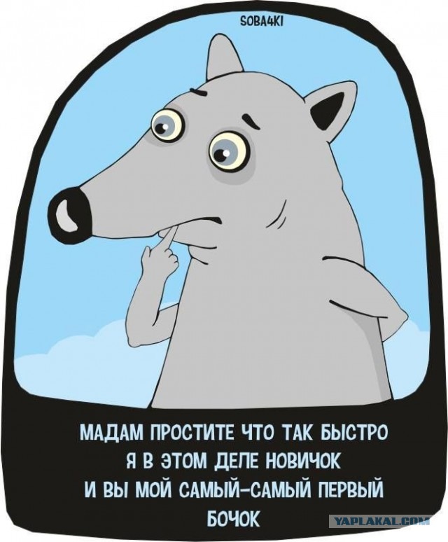 Придёт серенький волчок
