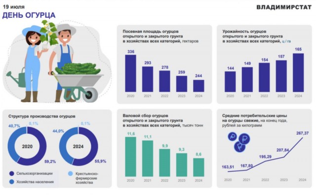 Килограмм огурцов во Владимирской области за 5 лет подорожал на 104 рубля