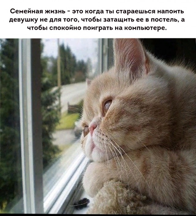 Так себе картинки 07.09.25