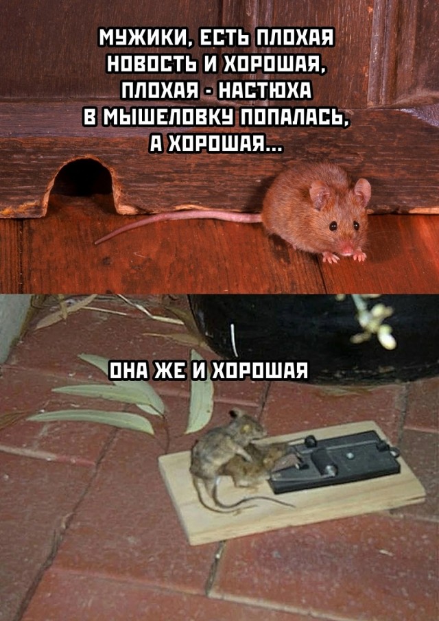 Так себе картинки 29.11.25