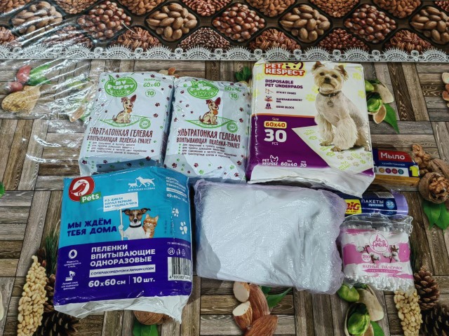 Жизнь домашнего приюта "Котоленд" 523