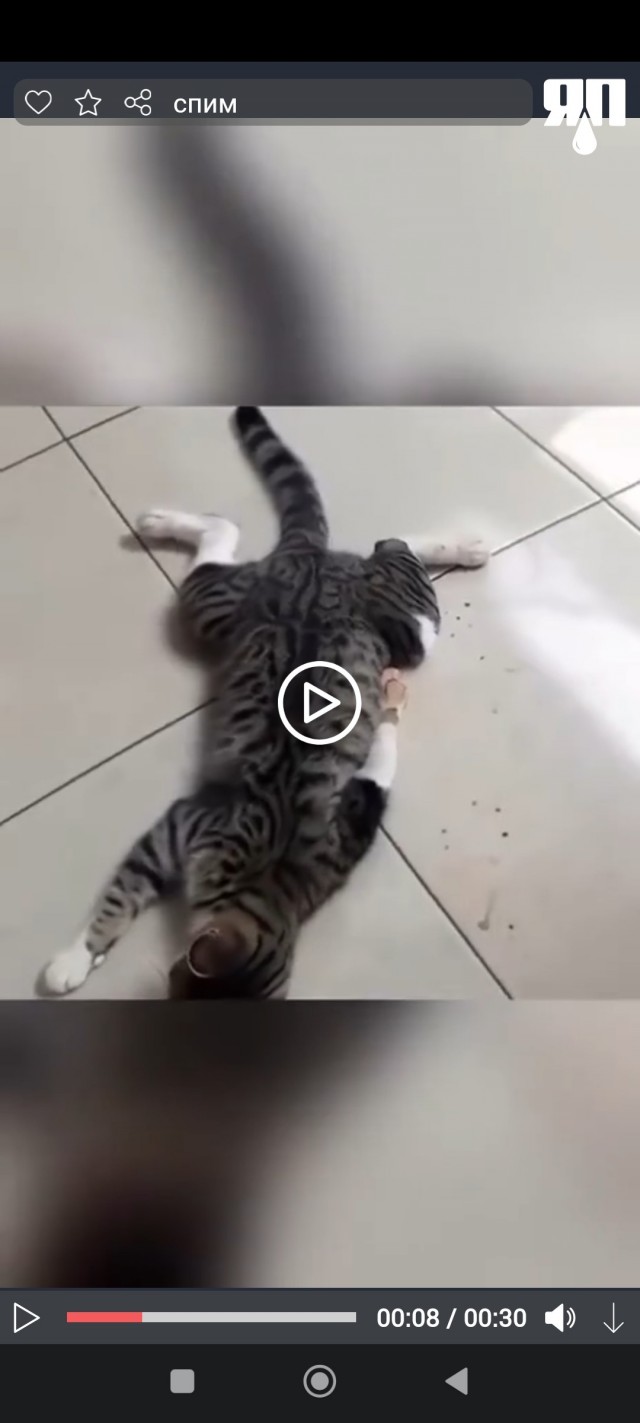 Спим