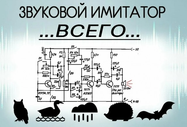 Включите это своей собаке