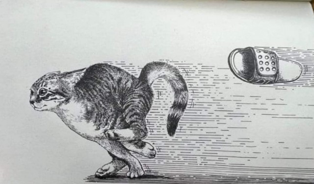 Раньше таких лечили.