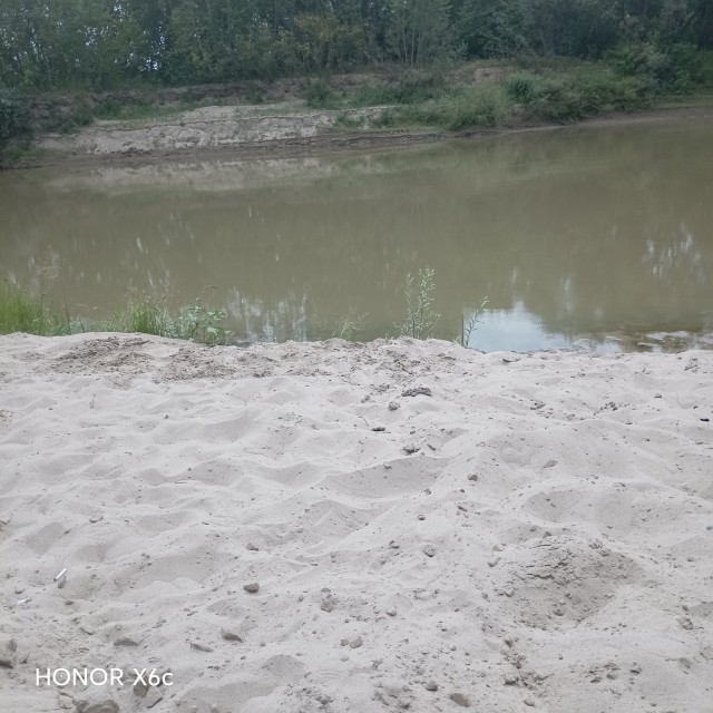 Нашёл камень, похожий на моляр мамонта.