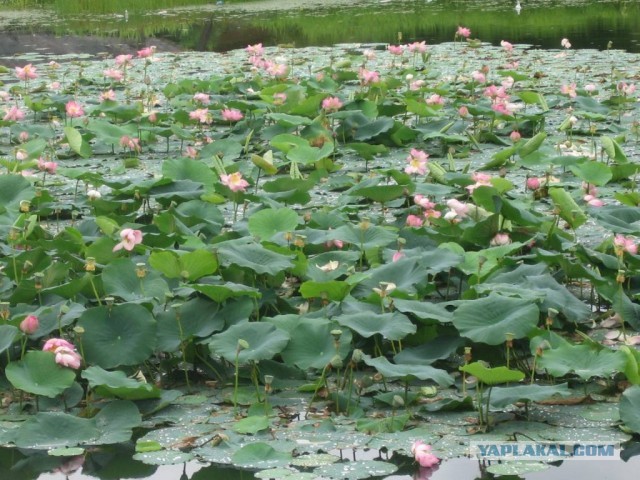 Малоизвестное Приморье.