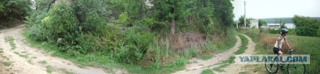 Парни, кому нравятся полные?