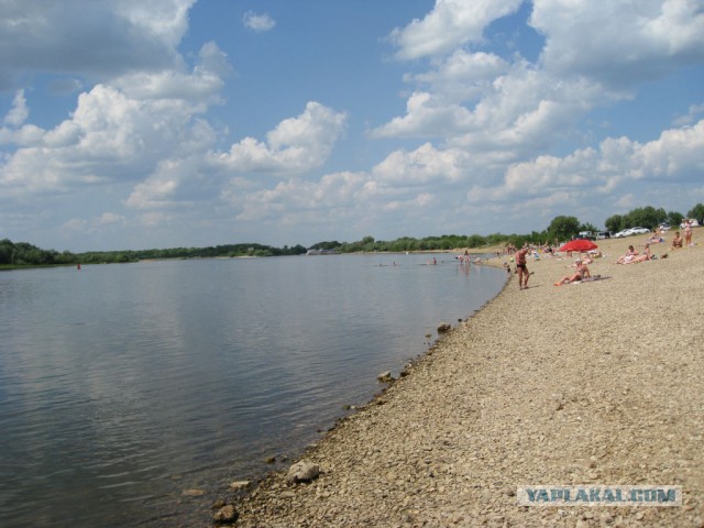 Сплав на байдарке по реке Ока.