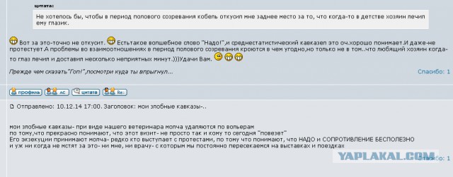 Наш новый член семьи