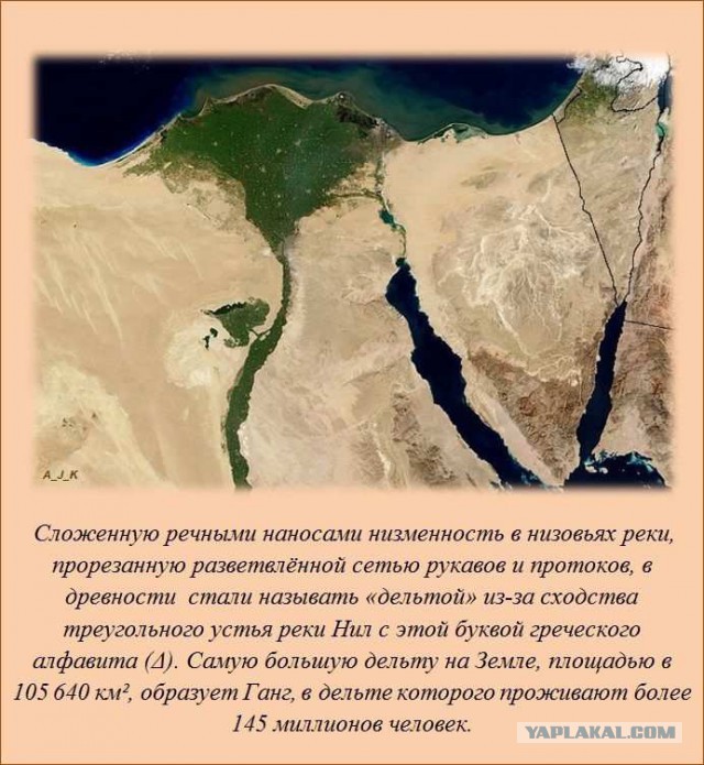 20 фактов обо всем