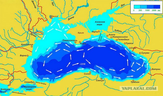 Свой взгляд на Абхазию или отдых строгого режима