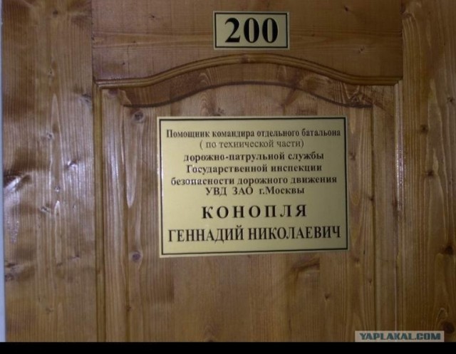 Интересно, выжил ли?