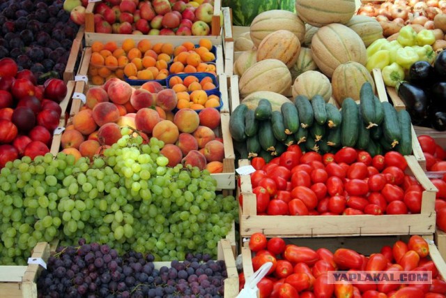 Смоляне на свалке спасают санкционные продукты