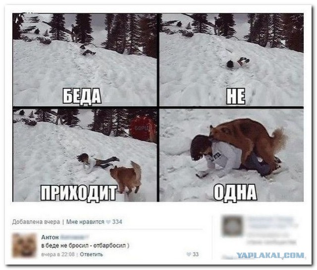 Ужасы и приколы из соцсетей 18+