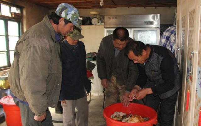 Китаец нашел огромный "гриб бессмертия"