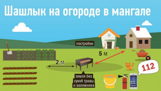 Липчане поплатятся за шашлык во дворе