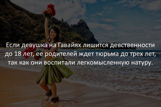 40 интересных фактов в картинках.