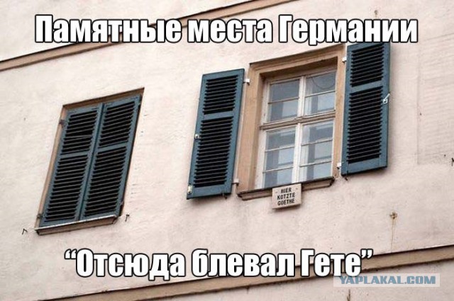 Три десятка абсурдных знаков и табличек, веселящих до слёз своей очевидностью