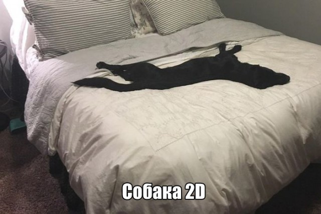Смешные картинки