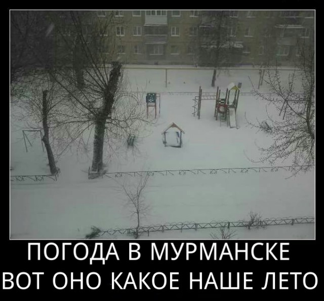 Вот оно какое, наше лето.