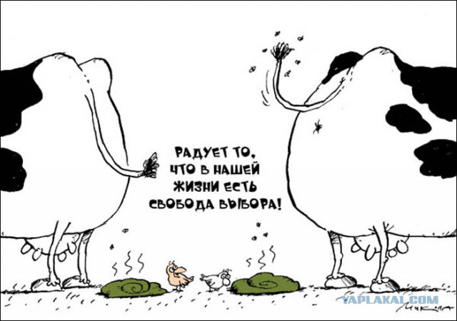 ВЦИОМ порадовал