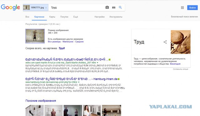 Ударницы сексуального труда или дамы с пониженной социальной ответственностью