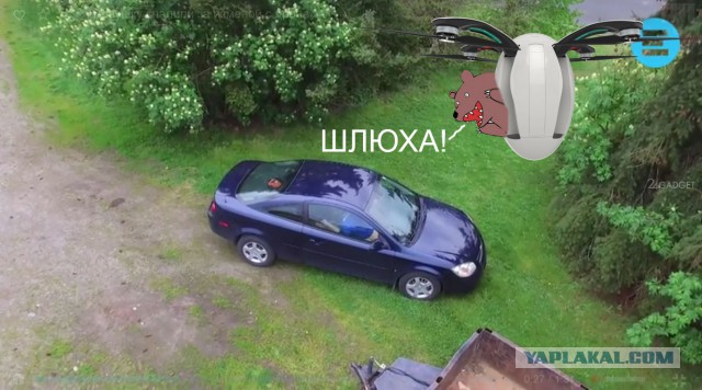 Девушку спалили за изменой с дрона