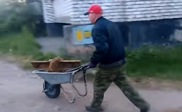 Как я посреди дороги наковальню поимел.