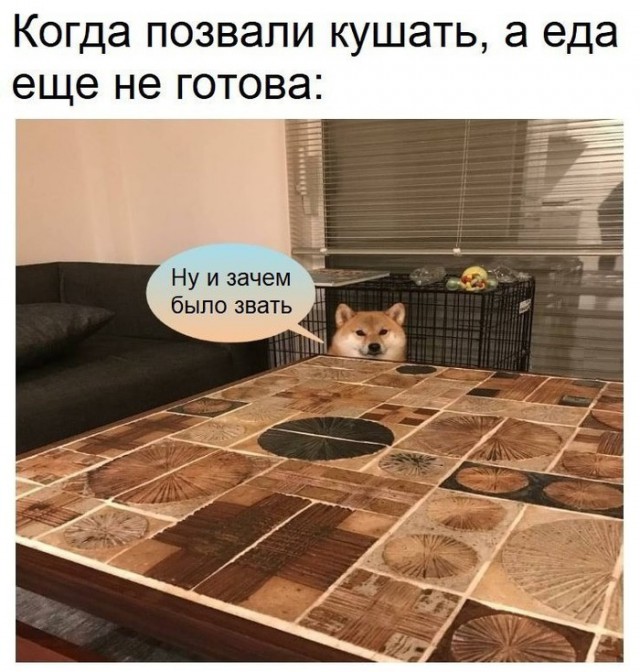 Странный юмор