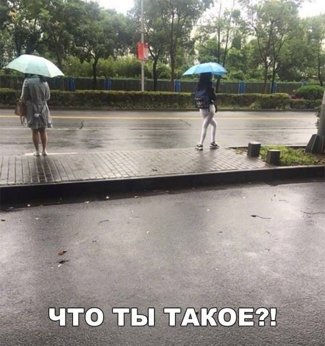 Нестандартный юмор
