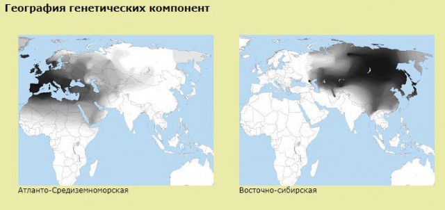 Красивый коктейль кровей. Девушки-метиски