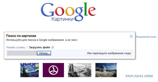 Верность и преданность пса