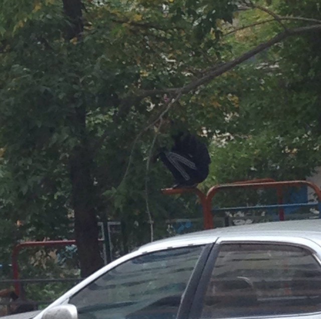 Чудики из социальных сетей