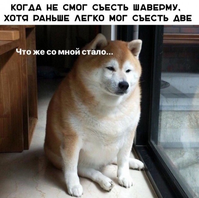 Нестандартный юмор