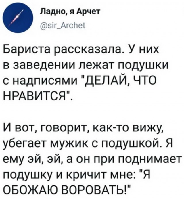 Применим физику в постели или белка и стрелка. Картинки